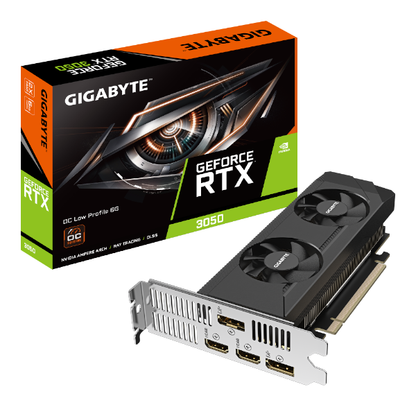 כרטיס מסך Gigabyte GeForce RTX 3050 6GB Low Profile | PC SQUAD