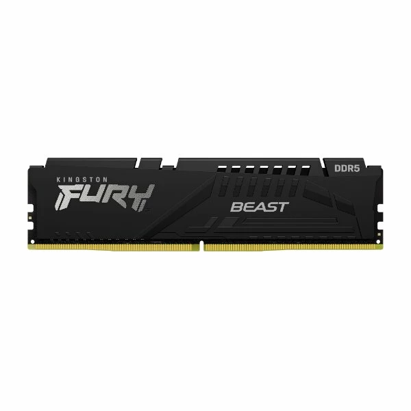 FURY-BEAST-DDR5