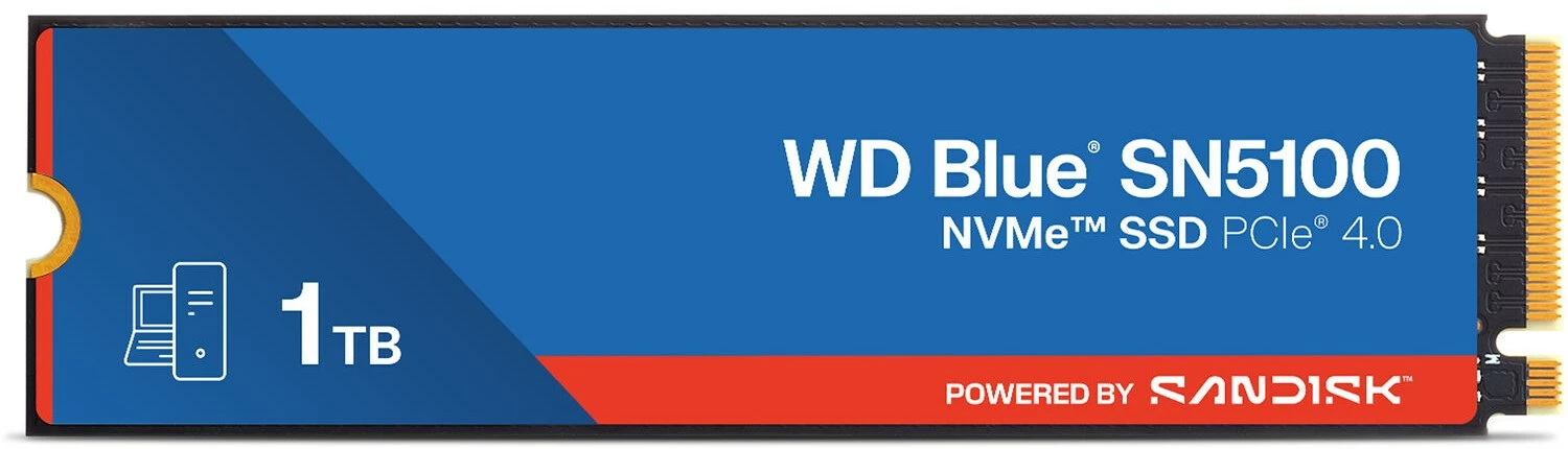 WDS100T5B0E