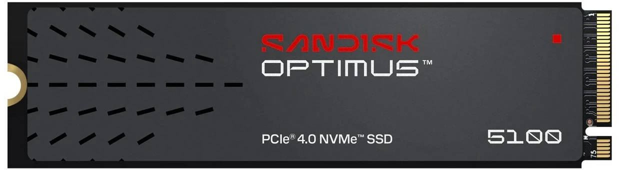SDSP51100TAN-000E0